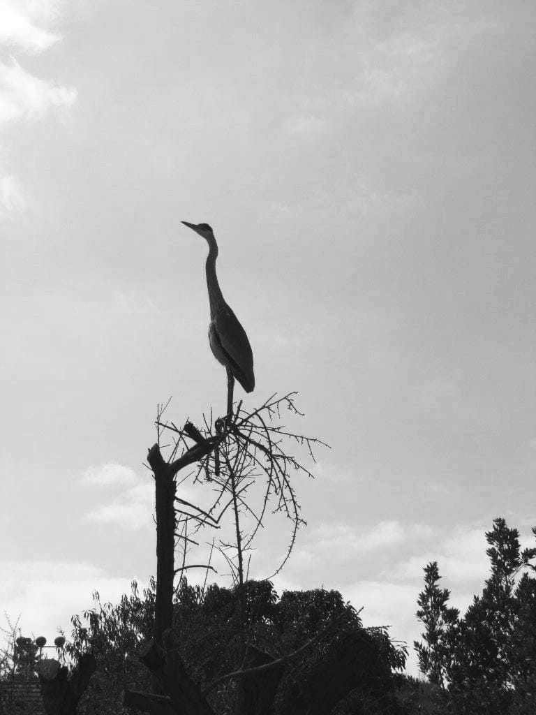 Fotografía tomada por Carolina Lorca