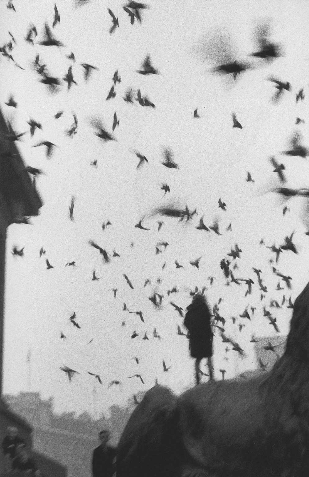 Los pájaros errantes y otros poemas – Pedro Prado